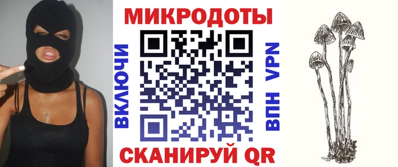 наркошоп Кондрово Галлюциногенные грибы Psilocybe